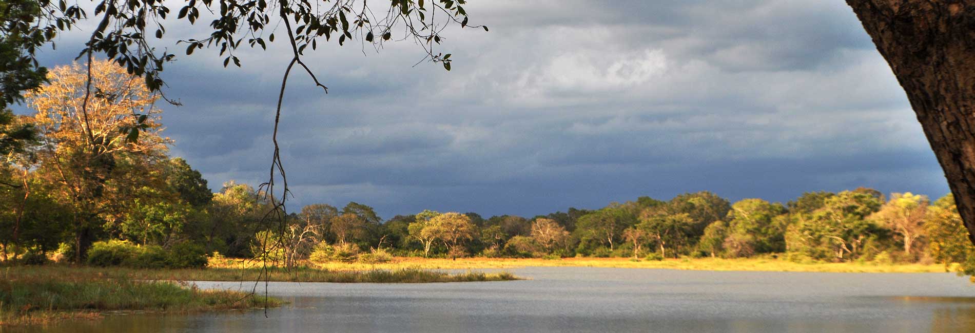 Udawalawe Safari Resort