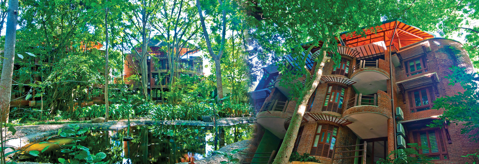 external_Udawalawe Sri Lanka Udawalawe Sri Lanka